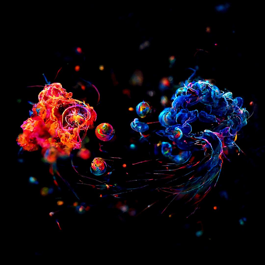 Entangled by Van Arman x Huffman